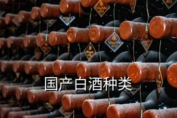 國(guó)產(chǎn)白酒種類