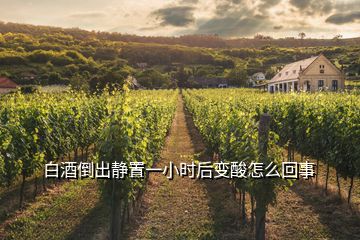 白酒倒出靜置一小時(shí)后變酸怎么回事