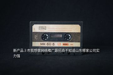 新產(chǎn)品上市我想做網(wǎng)絡推廣跟招商不知道山東哪家公司實力強