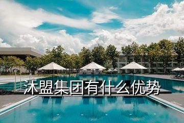 沐盟集團有什么優(yōu)勢