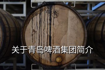 關(guān)于青島啤酒集團(tuán)簡(jiǎn)介