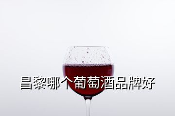 昌黎哪個(gè)葡萄酒品牌好