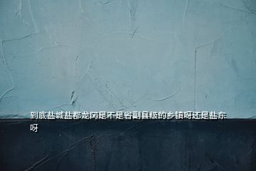 到底鹽城鹽都龍岡是不是省副縣級的鄉(xiāng)鎮(zhèn)呀還是鹽東呀