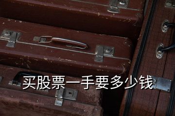 買(mǎi)股票一手要多少錢(qián)