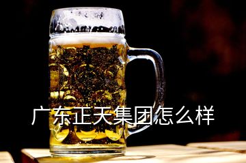 廣東正天集團怎么樣