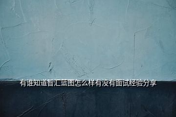 有誰(shuí)知道智匯藍(lán)圖怎么樣有沒(méi)有面試經(jīng)驗(yàn)分享