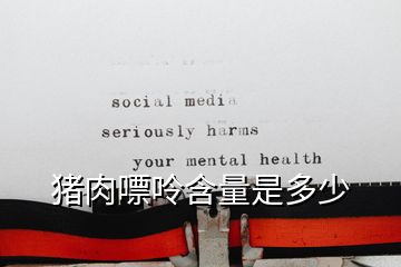 豬肉嘌呤含量是多少