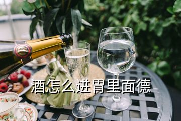 酒怎么進胃里面德