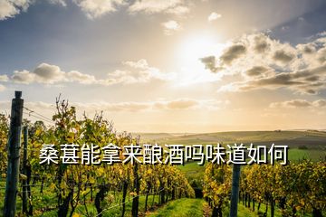 桑葚能拿來(lái)釀酒嗎味道如何