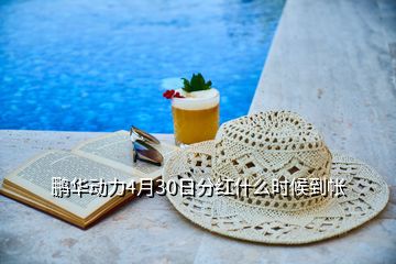 鵬華動力4月30日分紅什么時(shí)候到帳
