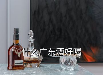 什么廣東酒好喝