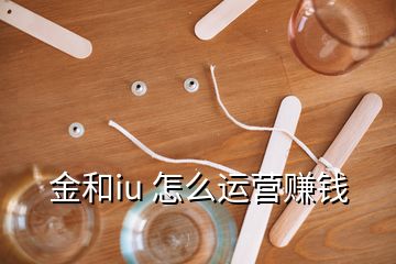 金和iu 怎么運(yùn)營賺錢