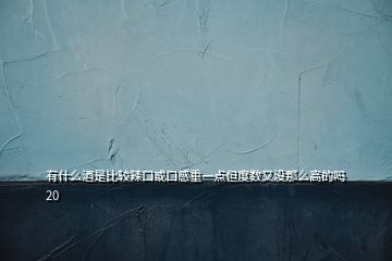 有什么酒是比較辣口或口感重一點(diǎn)但度數(shù)又沒(méi)那么高的嗎20