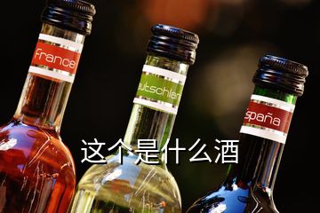 這個是什么酒