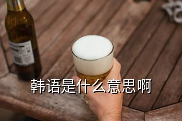 韓語(yǔ)是什么意思啊