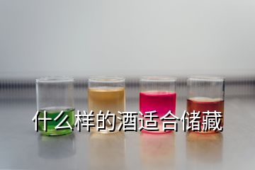 什么樣的酒適合儲(chǔ)藏