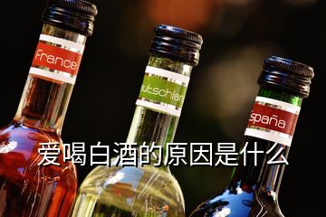 愛喝白酒的原因是什么
