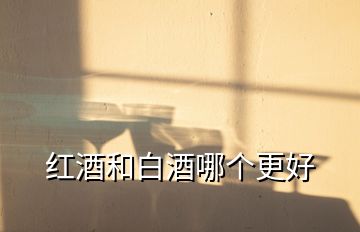 紅酒和白酒哪個(gè)更好