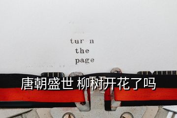 唐朝盛世 柳樹(shù)開(kāi)花了嗎