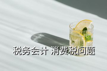 稅務會計 消費稅問題