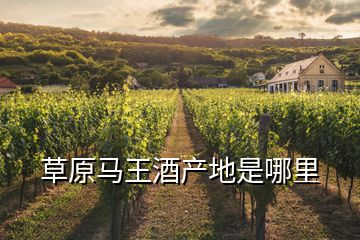 草原馬王酒產(chǎn)地是哪里