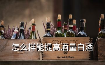 怎么樣能提高酒量白酒