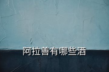 阿拉善有哪些酒