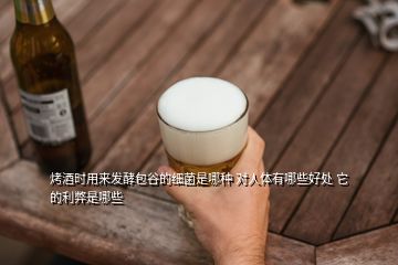 烤酒時(shí)用來發(fā)酵包谷的細(xì)菌是哪種 對(duì)人體有哪些好處 它的利弊是哪些