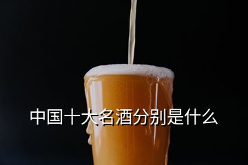 中國十大名酒分別是什么