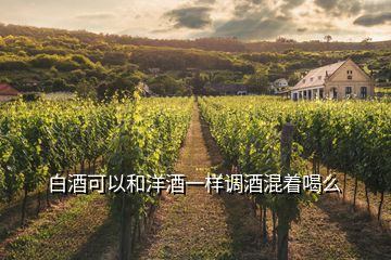白酒可以和洋酒一樣調(diào)酒混著喝么