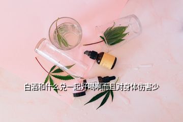 白酒和什么兌一起好喝啊而且對身體傷害少
