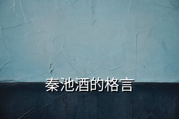秦池酒的格言