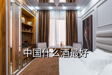 中國(guó)什么酒最好