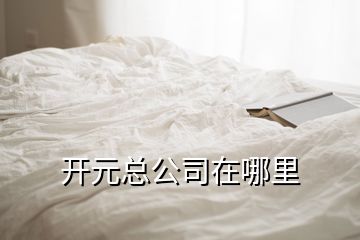 開(kāi)元總公司在哪里