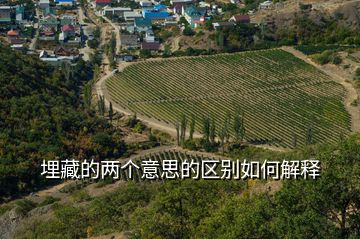 埋藏的兩個意思的區(qū)別如何解釋