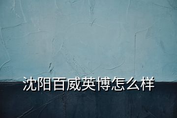 沈陽(yáng)百威英博怎么樣
