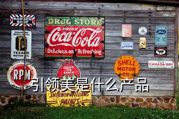 引領美是什么產品