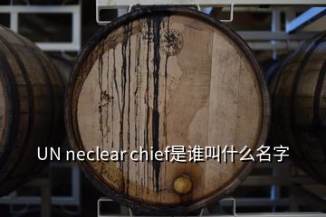 UN neclear chief是誰(shuí)叫什么名字
