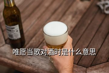 唯愿當(dāng)歌對酒時是什么意思