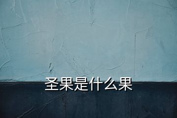 圣果是什么果