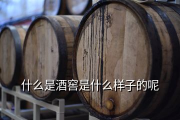 什么是酒窖是什么樣子的呢