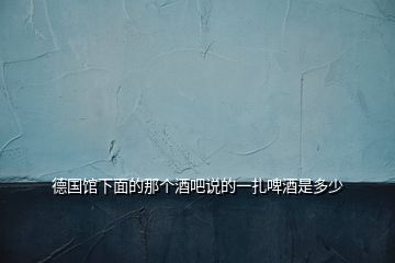 德國(guó)館下面的那個(gè)酒吧說的一扎啤酒是多少