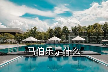 馬伯樂(lè)是什么