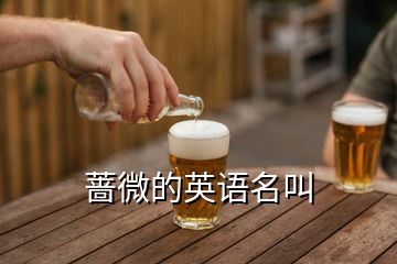 薔微的英語(yǔ)名叫