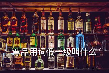 尊品用詞低一級叫什么