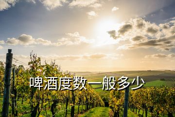 啤酒度數一般多少