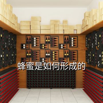 蜂蜜是如何形成的