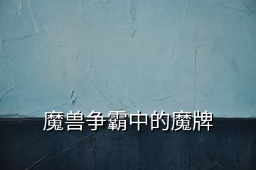 魔獸爭(zhēng)霸中的魔牌