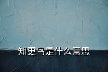 知更鳥(niǎo)是什么意思