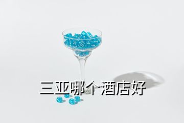 三亞哪個(gè)酒店好